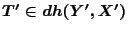 $T' \in dh(Y',X')$