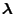 $\lambda$