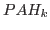 $PAH_k$