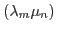 $\left(\lambda_{m} \mu_{n}\right)$